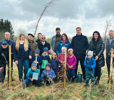 Baumpflanzung zum 70. Tag des Baumes in Bayern. (Foto: SDW Bayern)